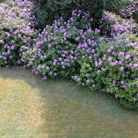 In Summo Monte アパート