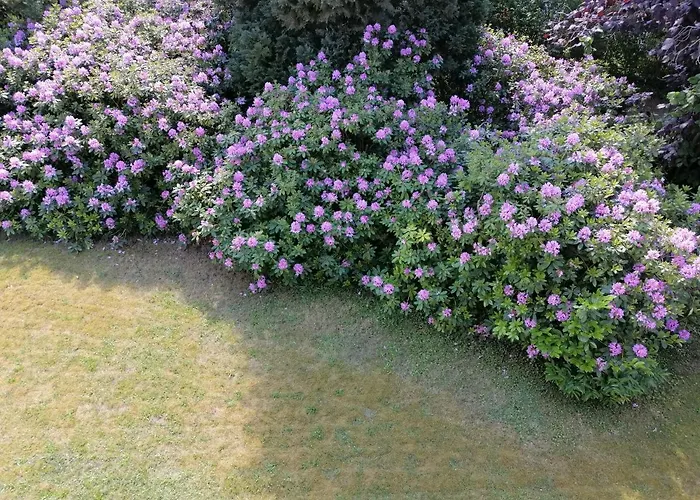 In Summo Monte Lägenhet